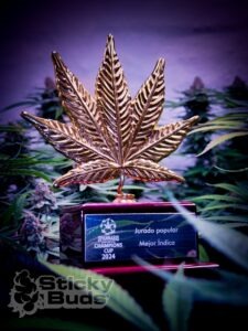 highribo-seeds-collection