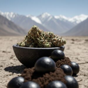 afghan-kush-auto